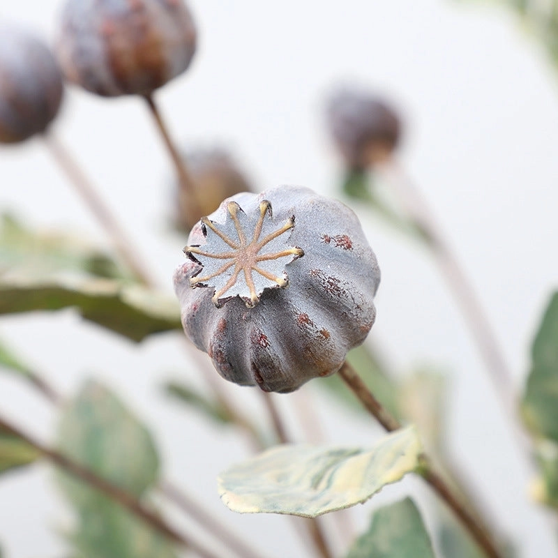 Opium Poppy Fruit Artificial Silk Flower Multi-color OPIUM002-004
