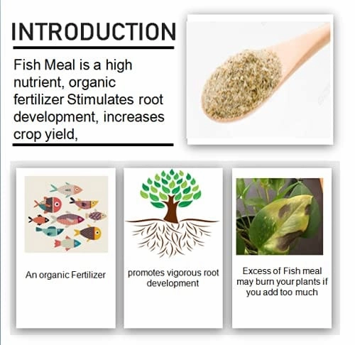 Oraganic Fish Meal Fertilizer