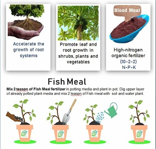 Oraganic Fish Meal Fertilizer