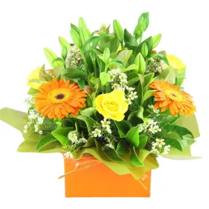 Orange Blossoms,realistic flower bouquet 