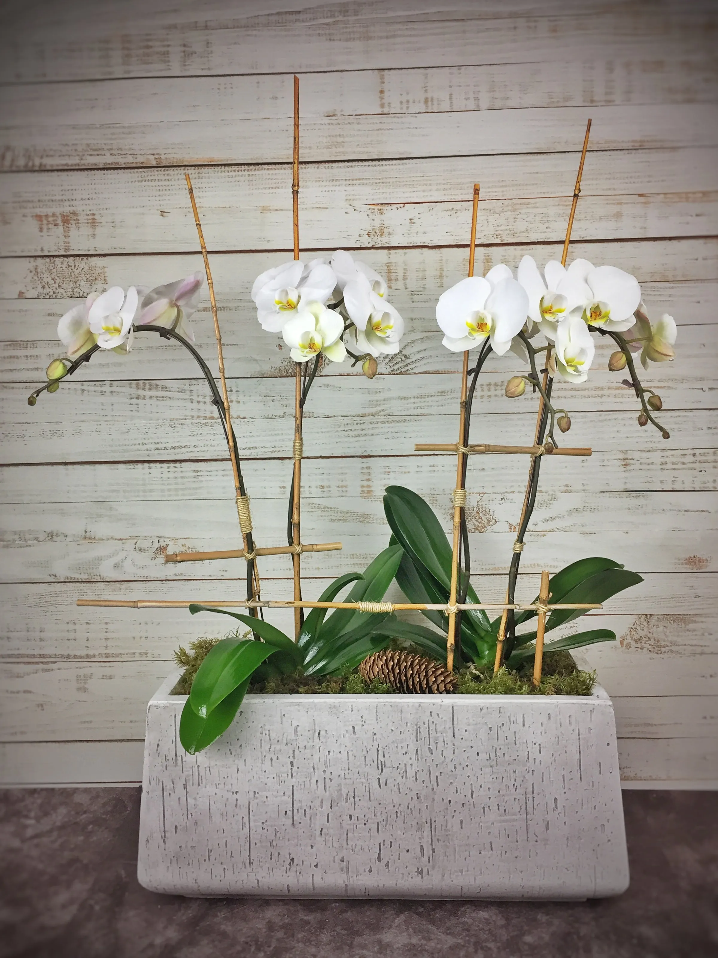 Orchid Grandeur,realistic flower bouquet 