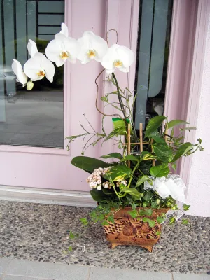 Orchid No.1,faux bloom stem 