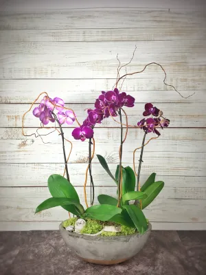 Orchid Splendour,realistic flower bouquet 