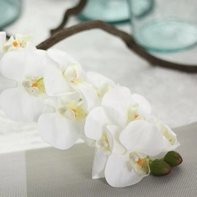 Orchid 7 Heads Artificial Silk Flower Stem ORCHID032-034,dried artificial flower