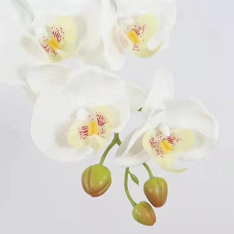Orchid 9 heads Phalaenopsis Butterfly Real Touch Artificial Silk Flower Stem ORCHID039-041