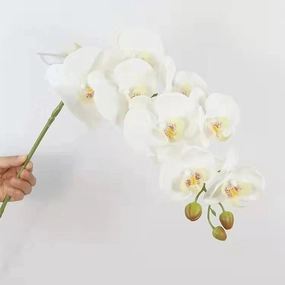 Orchid 9 heads Phalaenopsis Butterfly Real Touch Artificial Silk Flower Stem ORCHID039-041,dried artificial flower