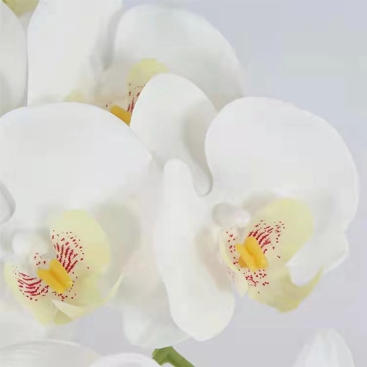 Orchid 9 heads Phalaenopsis Butterfly Real Touch Artificial Silk Flower Stem ORCHID039-041