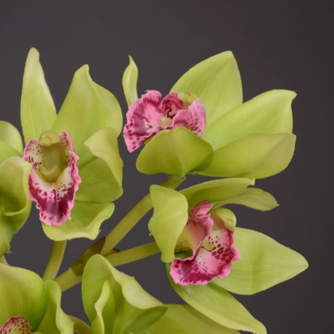 Orchid Artificial Silk Flower Green ORCHID0017
