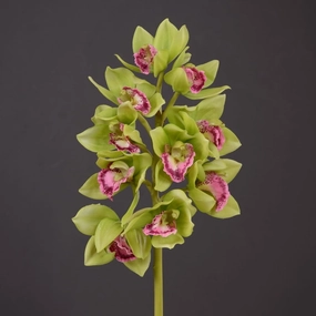 Orchid Artificial Silk Flower Green ORCHID0017,dried artificial flower