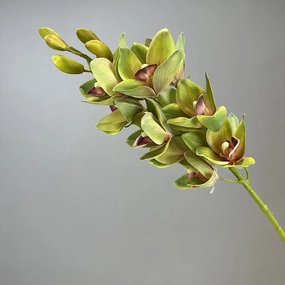 Orchid Artificial Silk Flower Green ORCHID0018,dried artificial flower