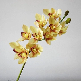 Orchid Cymbidium 10 Heads Artificial Silk Flower Blush Yellow ORCHID008,dried artificial flower