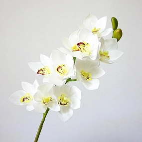 Orchid Cymbidium 10 Heads Artificial Silk Flower White ORCHID006,dried artificial flower