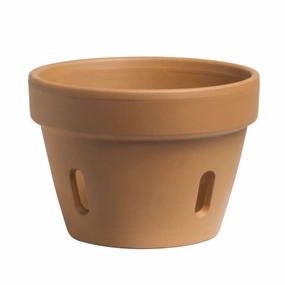Orchid Pot,terracotta plant pot