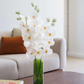 Orchide papillon en papier vieux blanc,mother's day bouquet