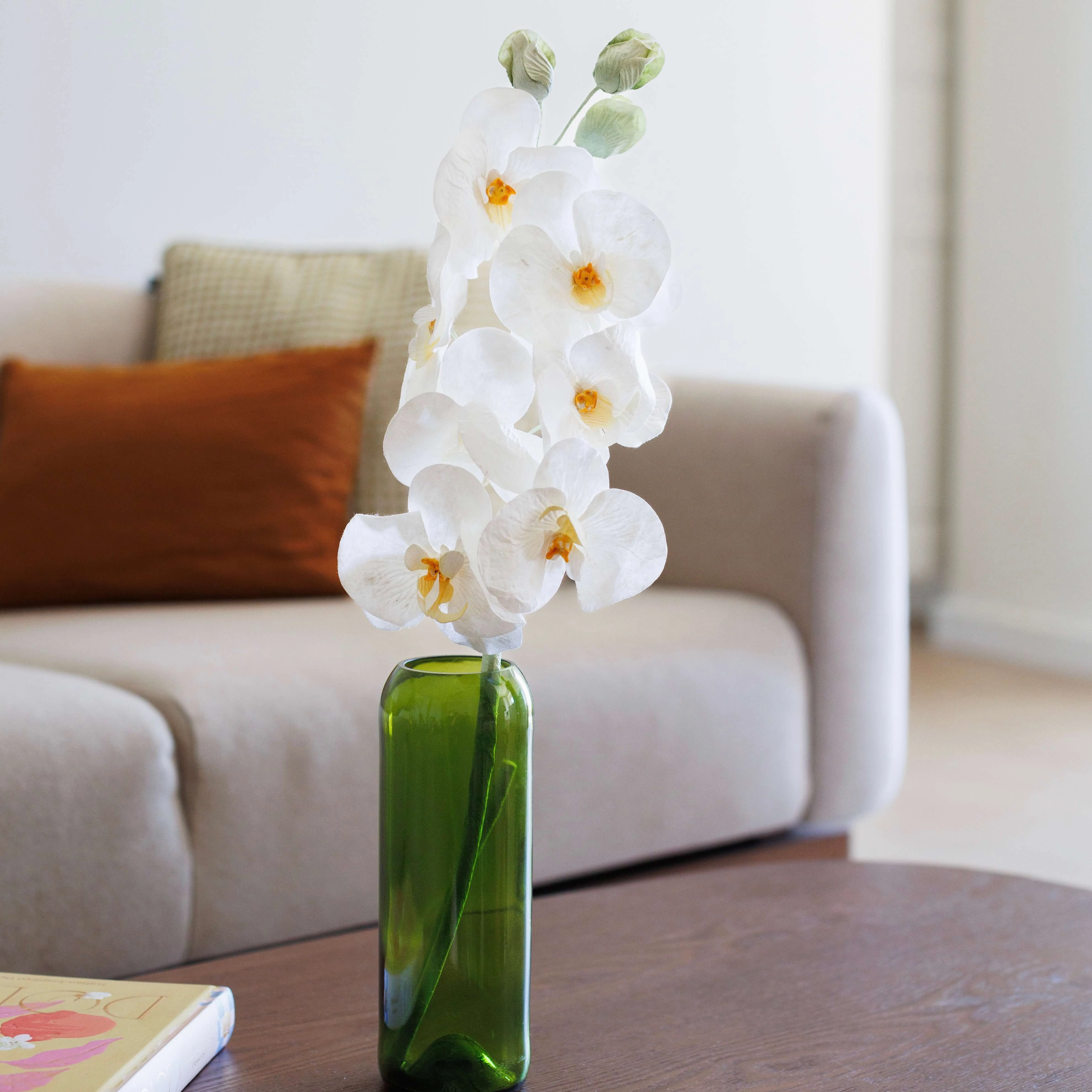 Orchide papillon en papier vieux blanc