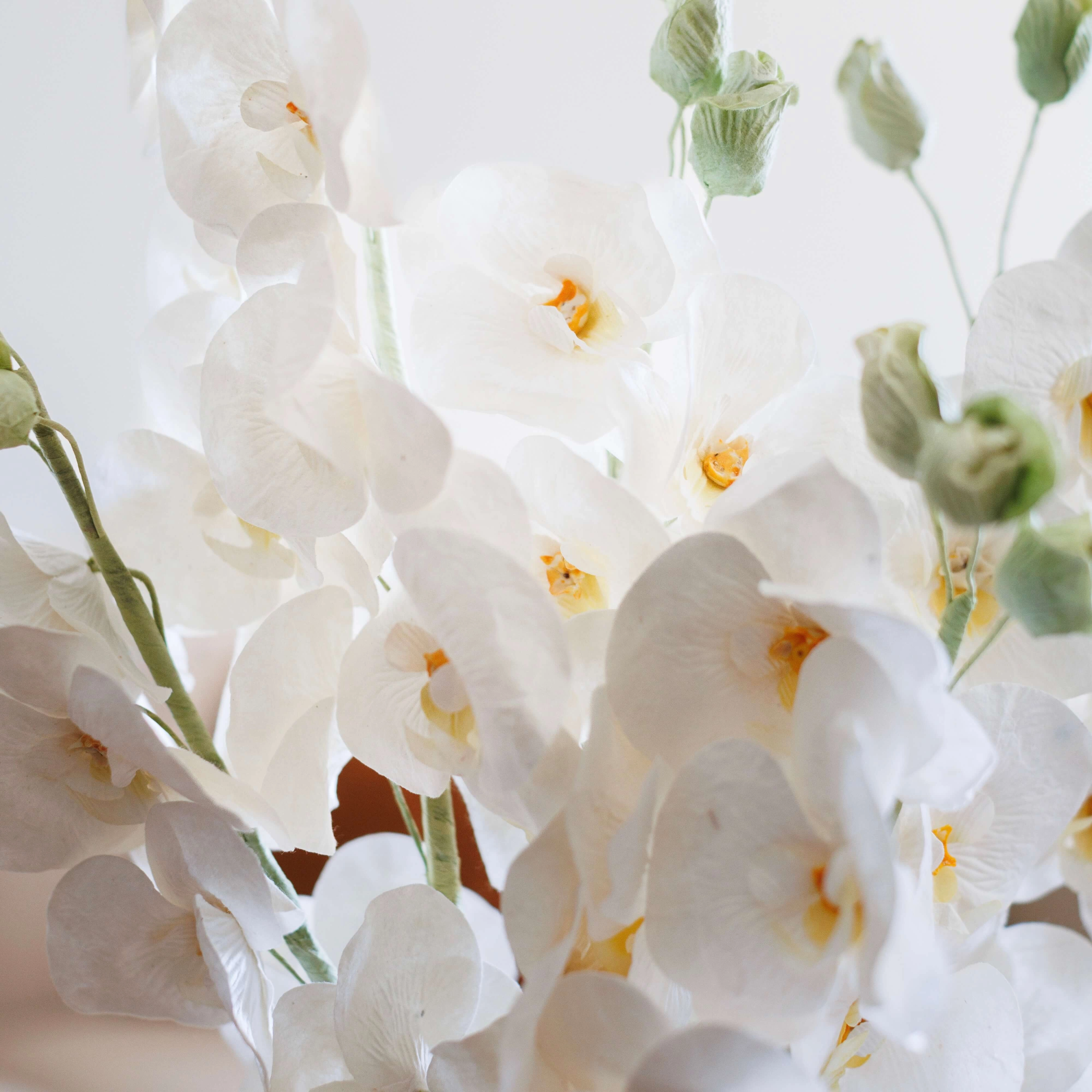 Orchide papillon en papier vieux blanc