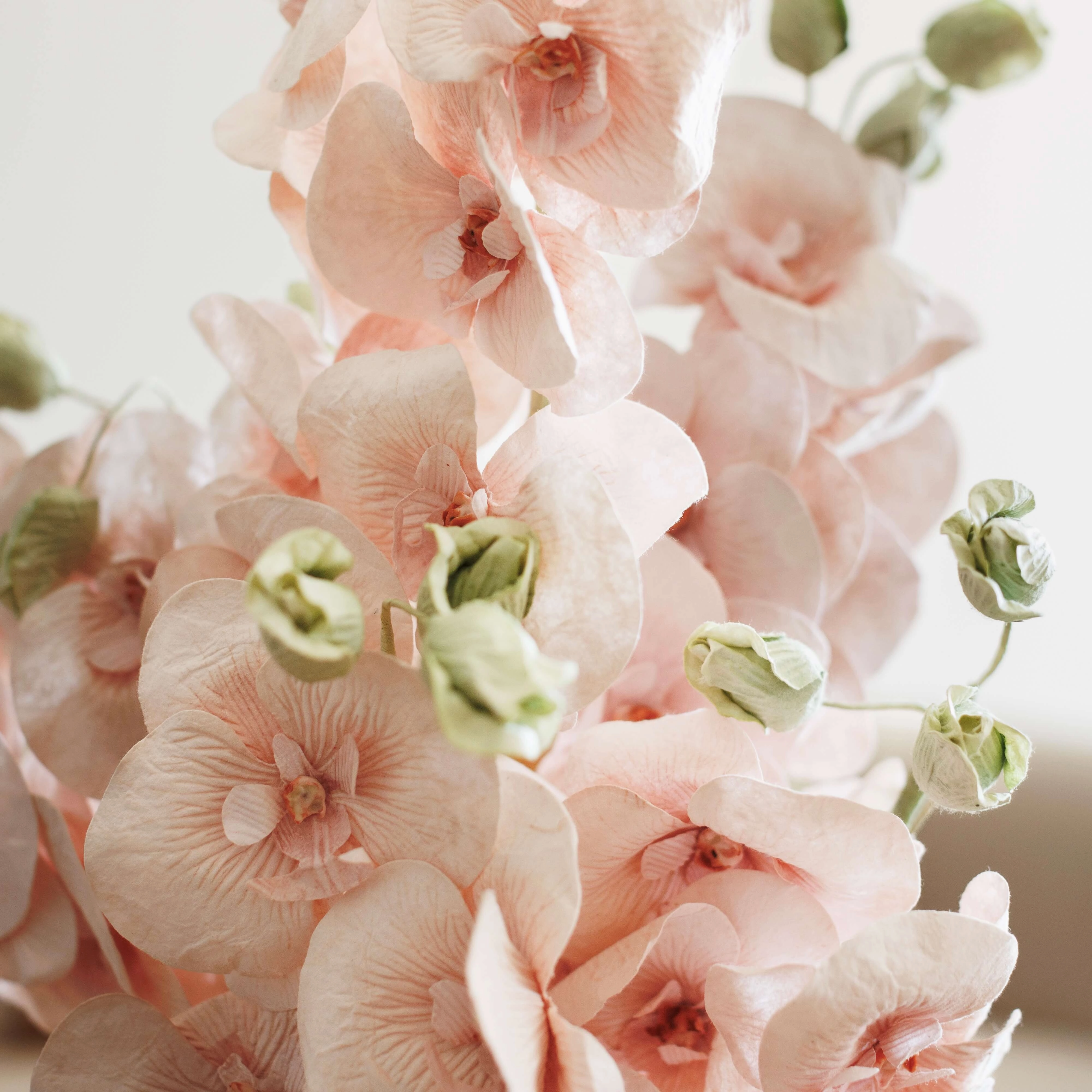 Orchide papillon en papier vieux rose