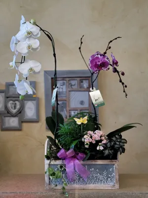 Orchids No.17,faux bloom stem 