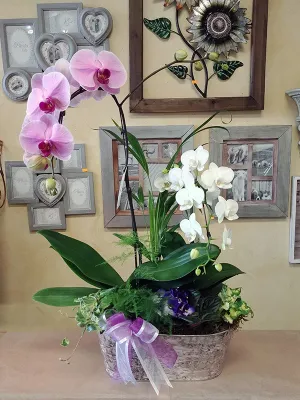 Orchids No.18,faux bloom stem 