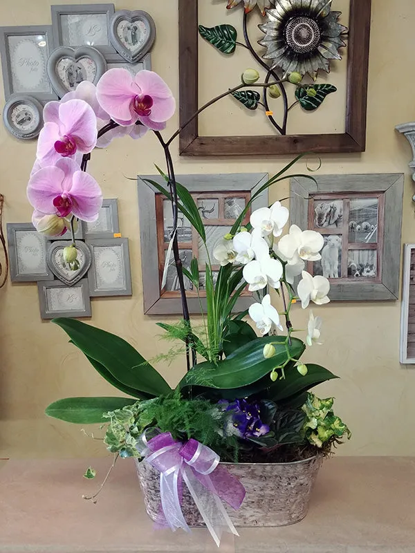 Orchids No.18,faux bloom stem 