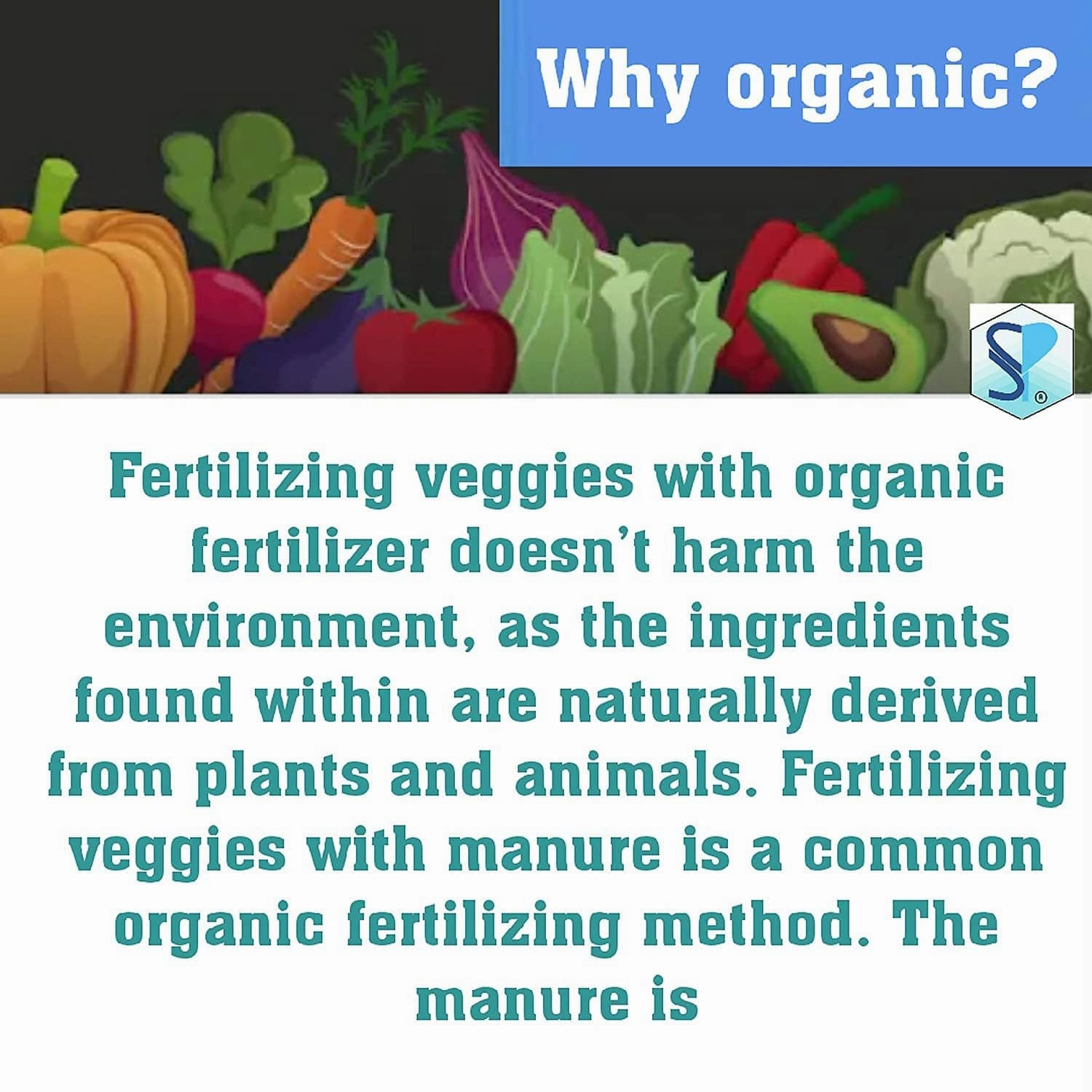 Organic Bone Meal Fertilizer With Seeds (Spinach, Radish, Coriander, Methi)
