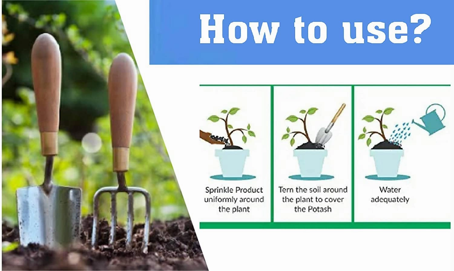 Organic Bone Meal Fertilizer With Seeds (Spinach, Radish, Coriander, Methi)
