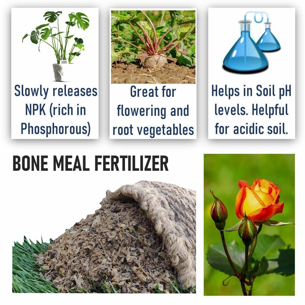 Organic Bone Meal Fertilizer With Seeds (Spinach, Radish, Coriander, Methi)