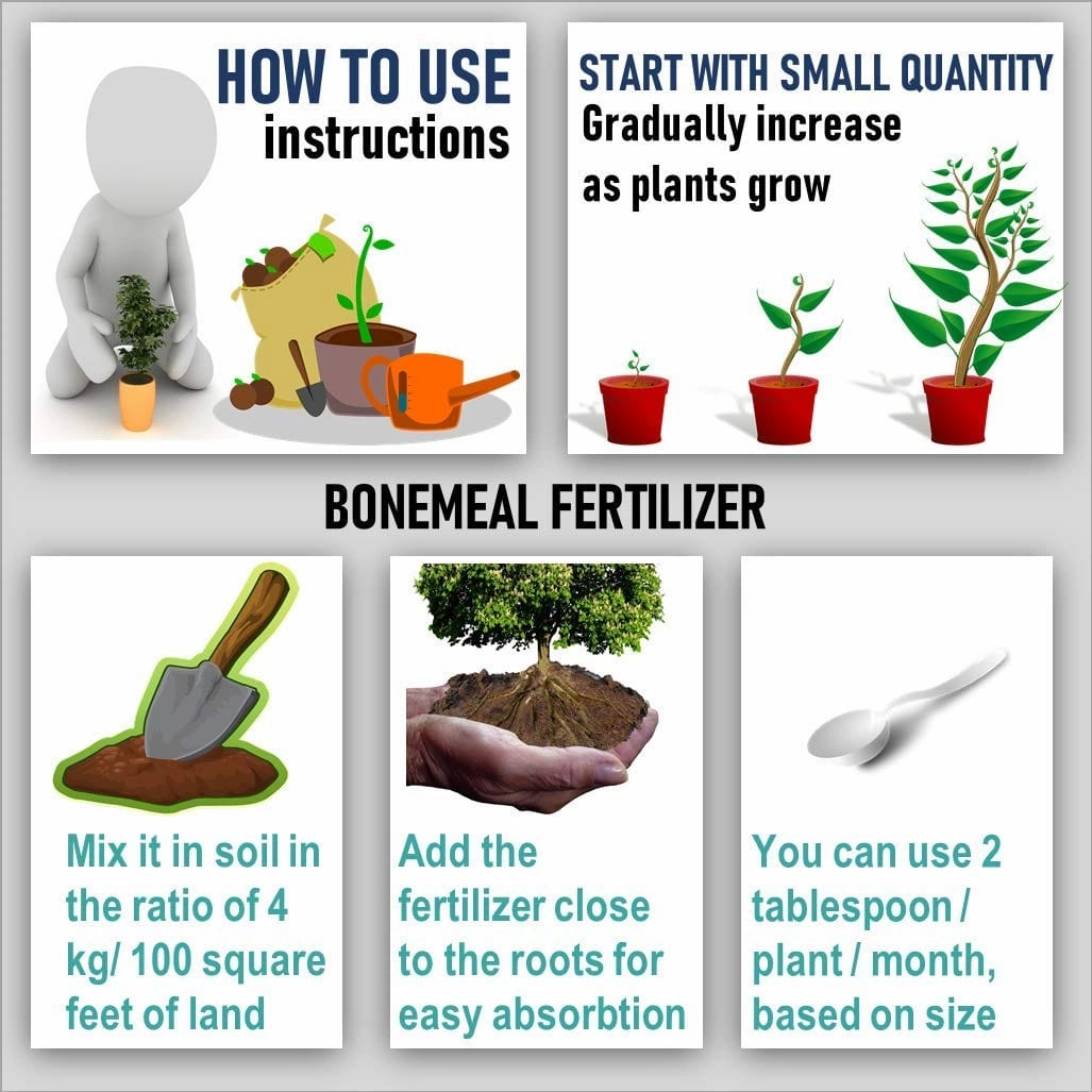 Organic Bone Meal Fertilizer With Seeds (Spinach, Radish, Coriander, Methi)