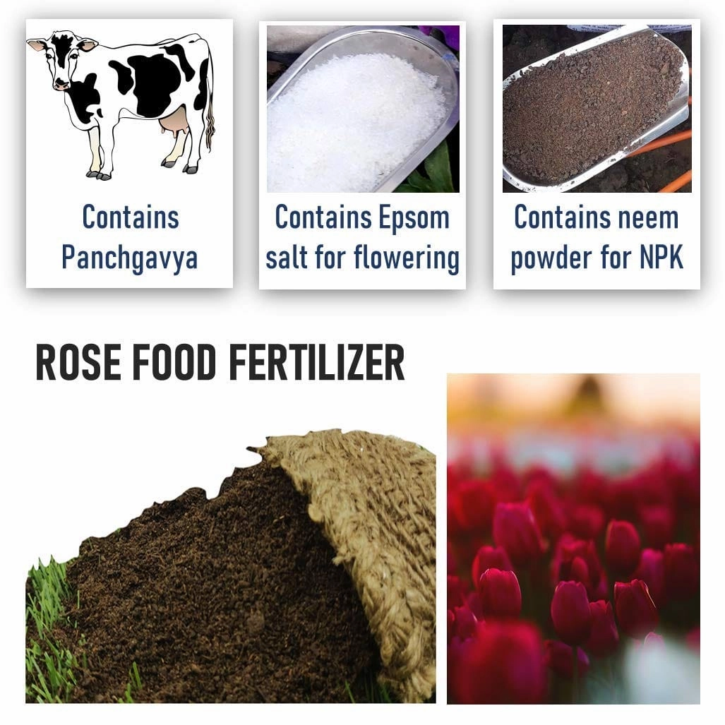 Organic Essential Rose Food