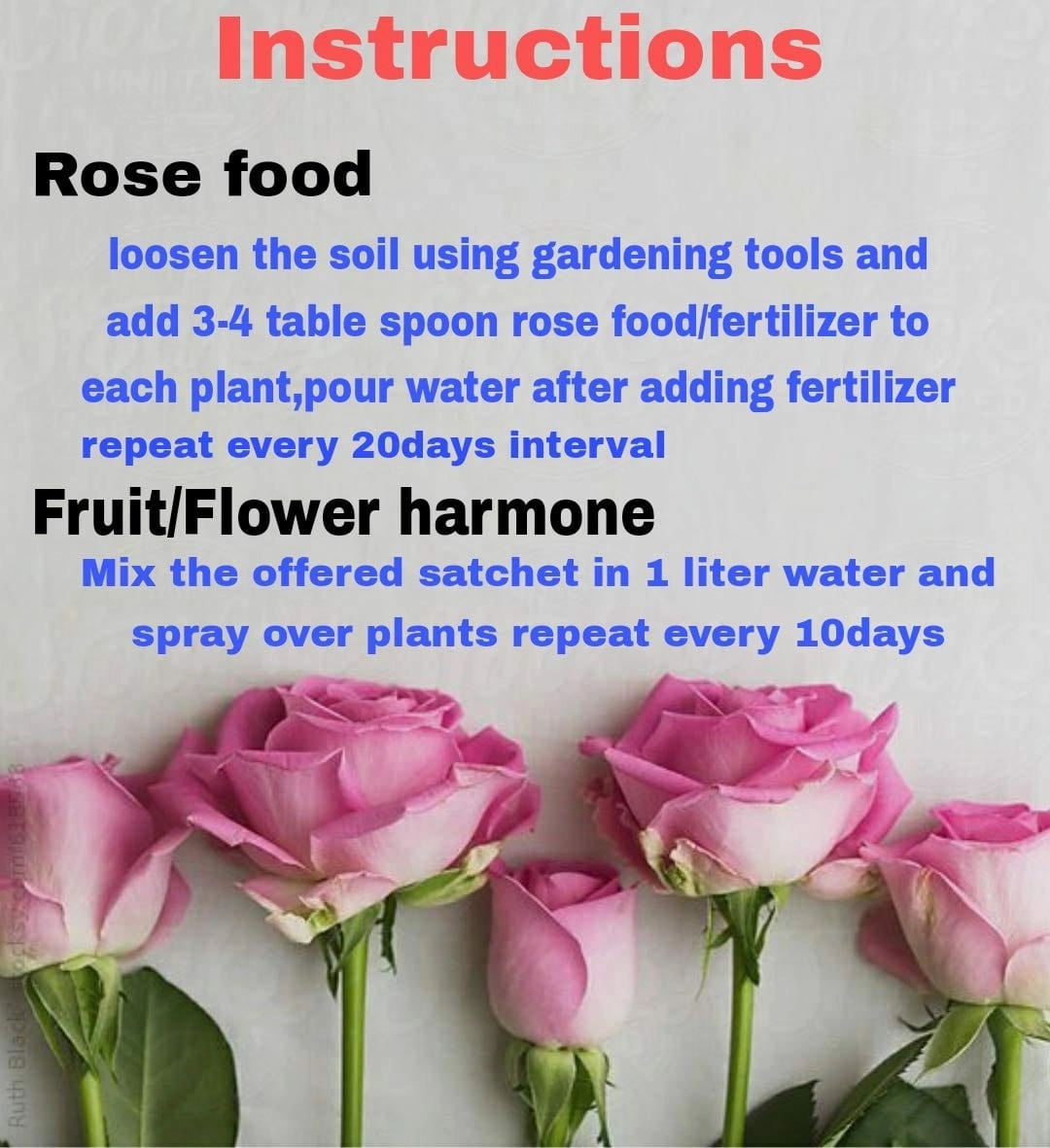 Organic Essential Rose Food