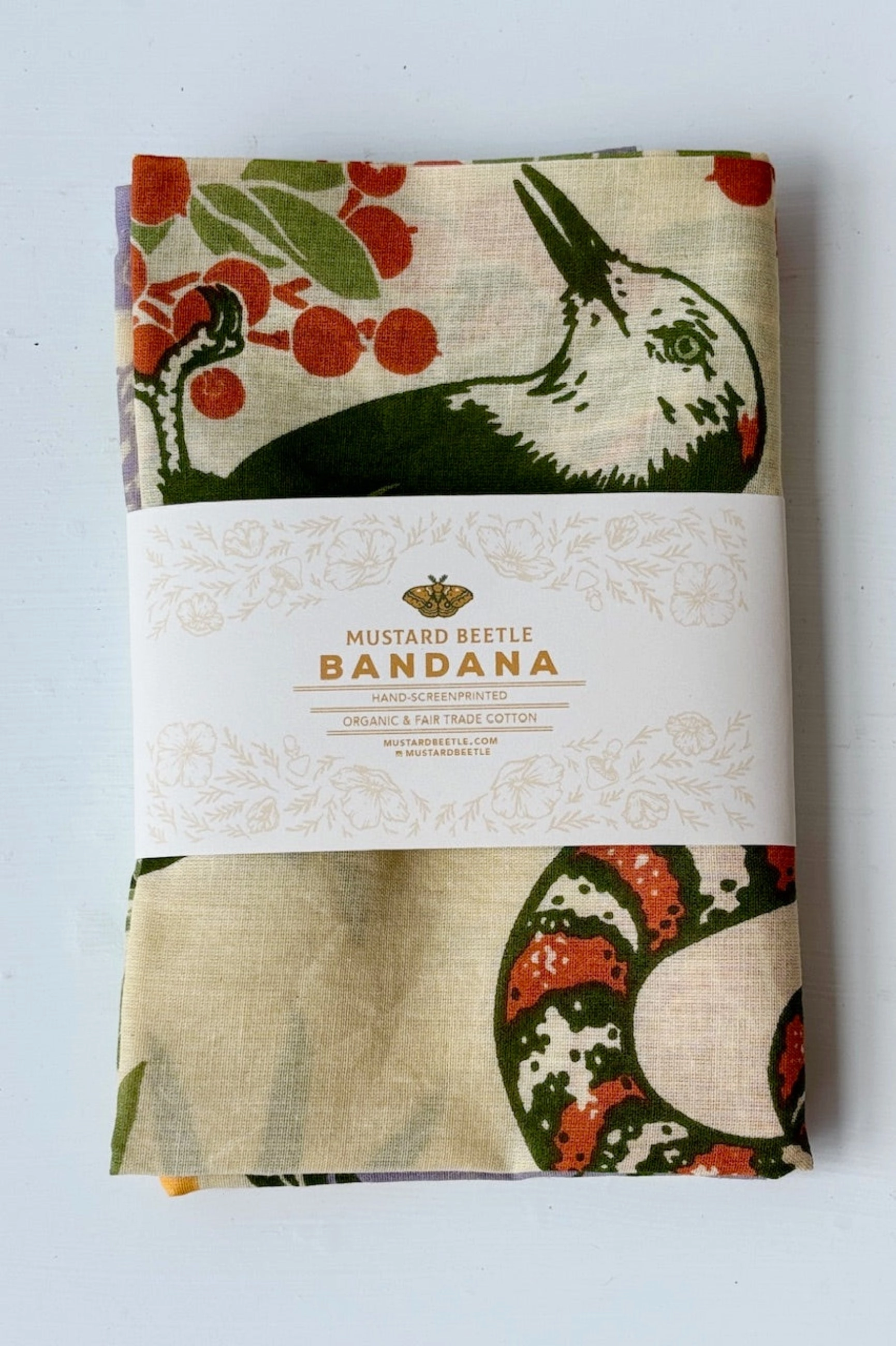 Organic Fair Trade San Jacinto Bandana
