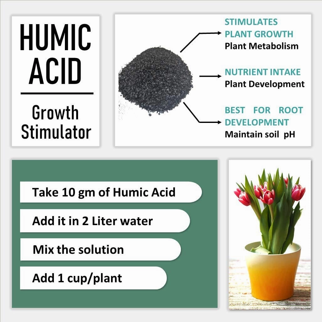 Organic Humic Acid And Natural Plant Growth Stimulator