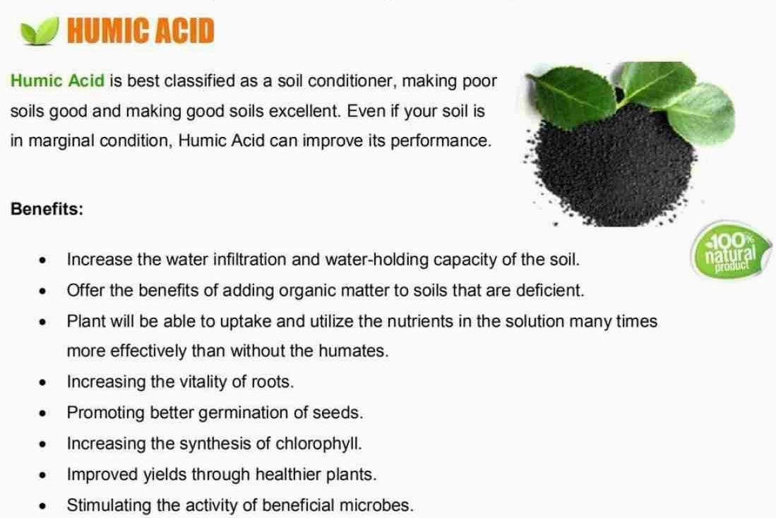 Organic Humic Acid And Natural Plant Growth Stimulator
