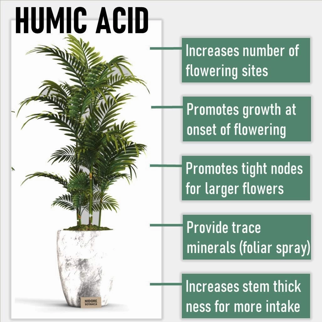 Organic Humic Acid And Natural Plant Growth Stimulator
