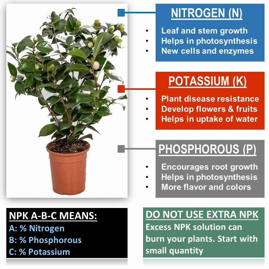 Organic Liquid Bio NPK Fertilizer With Free Spray Bottle