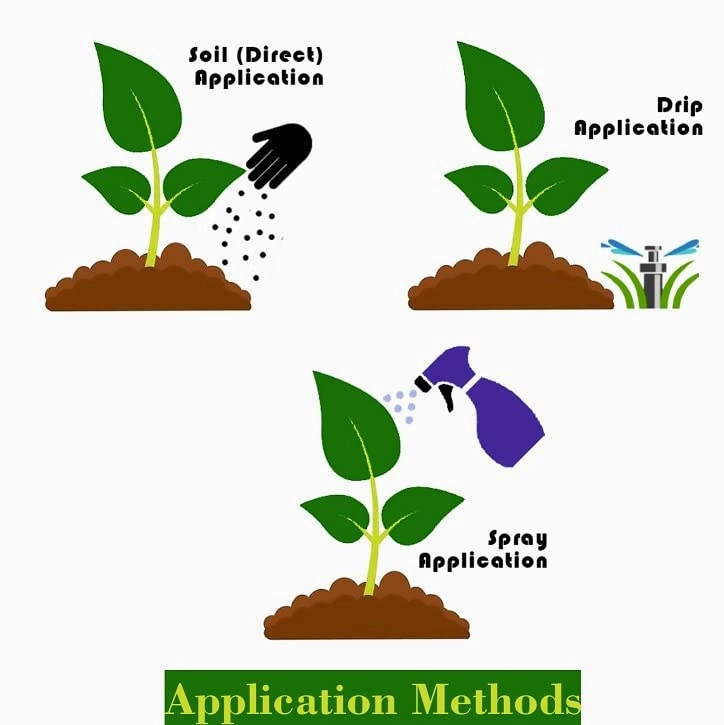 Organic Liquid Seaweed Extract Fertilizer (100 ml)