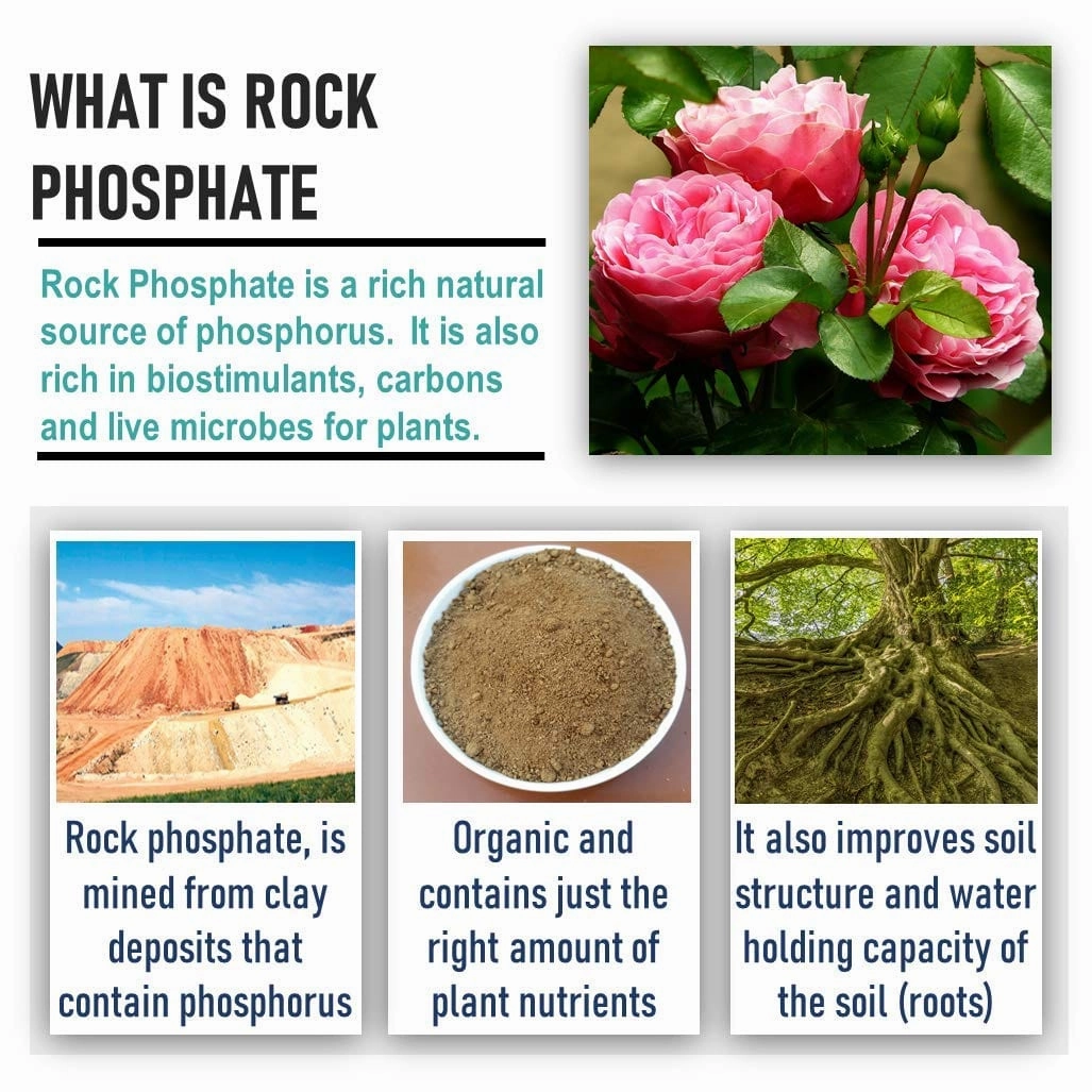 Organic Nutrient Rich Rock Phosphate Fertilizers (900 gm)