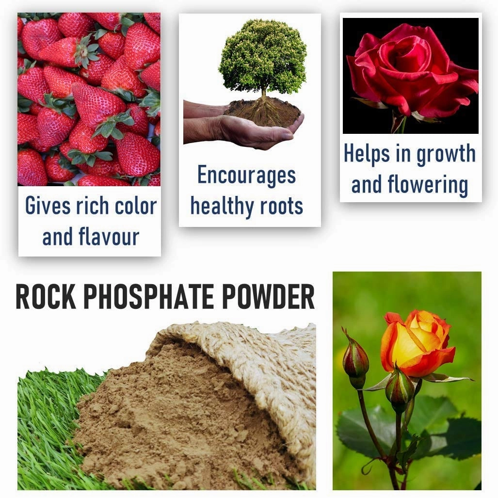Organic Nutrient Rich Rock Phosphate Fertilizers (900 gm)
