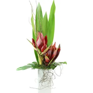 Outback Odyssey,realistic flower bouquet 