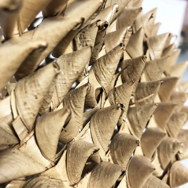 Palm Leaf Vase