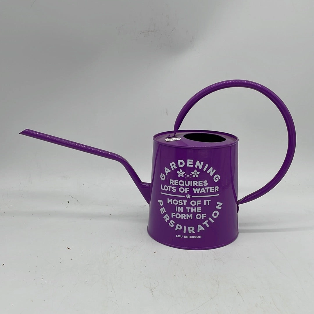 Panacea Tin Watering Can w Graphics,potted plant decor