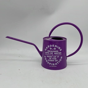 Panacea Tin Watering Can w Graphics,potted plant decor