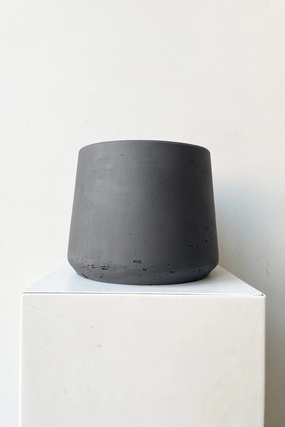 Patt Pot Black Washed Large,indoor flower container