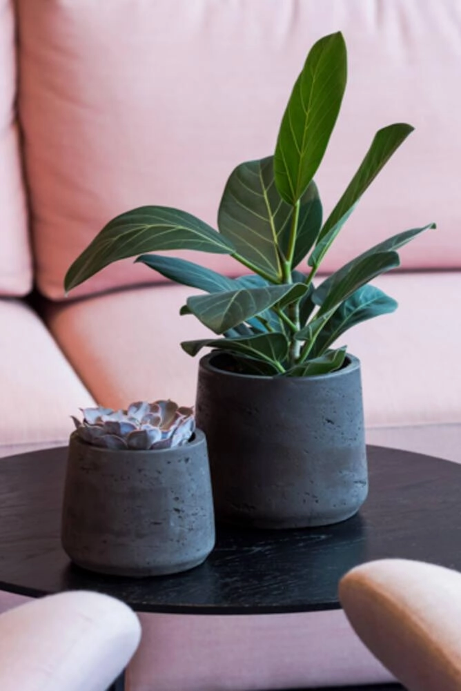 Patt Pot Black Washed Large