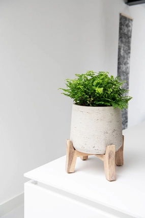 Patt Pot w/ Low Stand Grey Washed XL,indoor flower container