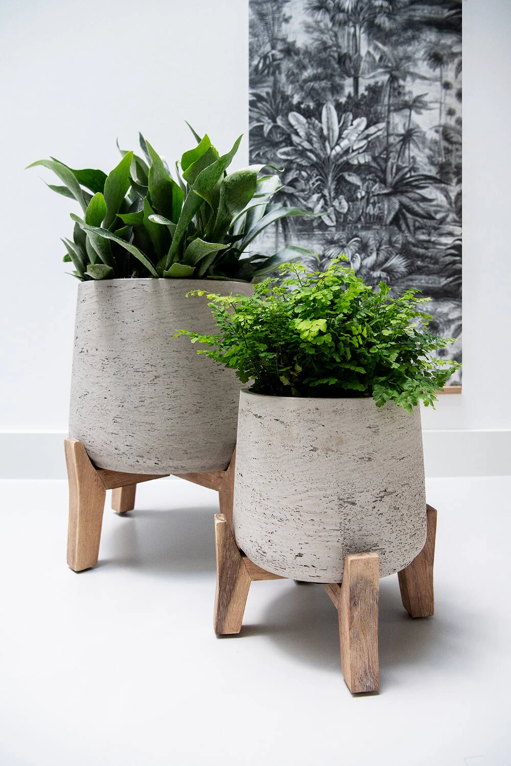 Patt Pot w/ Low Stand Grey Washed XL