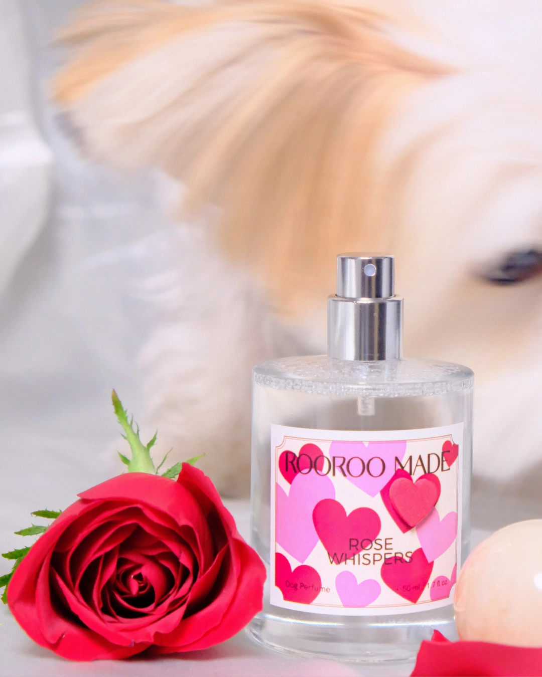 Paw Petal (Flower & Perfume) Gift Set