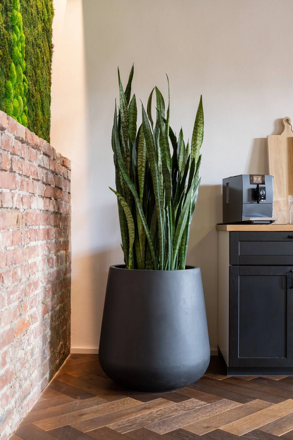 Pax Pot Fiberstone Black Medium