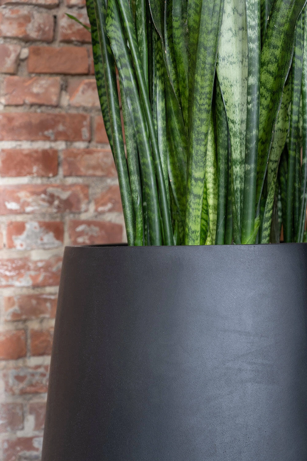 Pax Pot Fiberstone Black Medium
