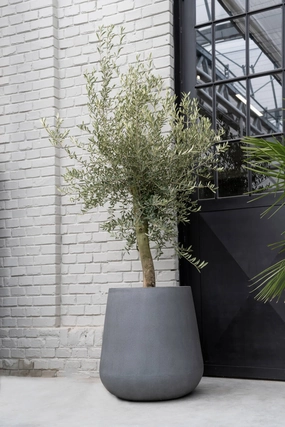 Pax Pot Fiberstone Grey Medium,indoor flower container